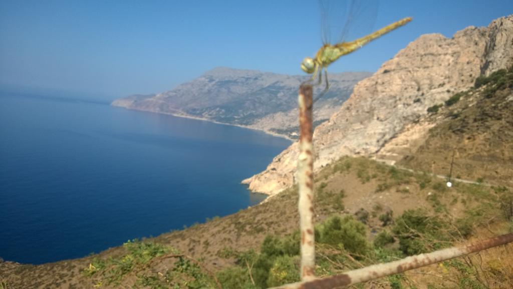 Ikaria Studios Manganítis 외부 사진